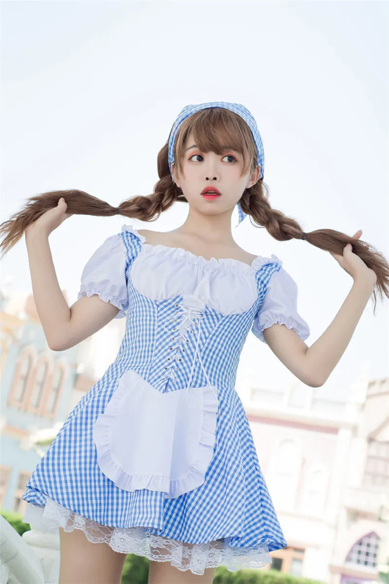 Lovely Maid Uniform Costume